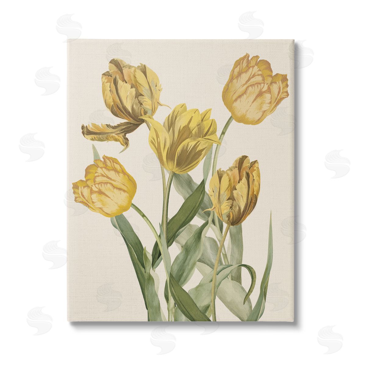 Stupell Studio Antique Yellow Tulips Stretched Canvas Wall Art Print