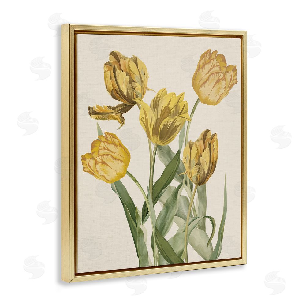 Stupell Studio Antique Yellow Tulips Gold Floating Frame Canvas Wall Art Print