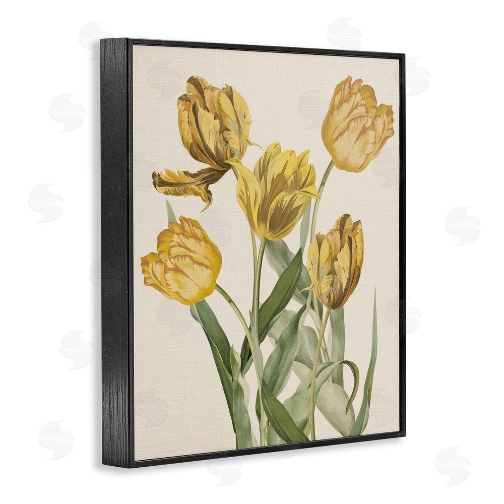 Stupell Studio Antique Yellow Tulips Black Framed Giclee Wall Art Print