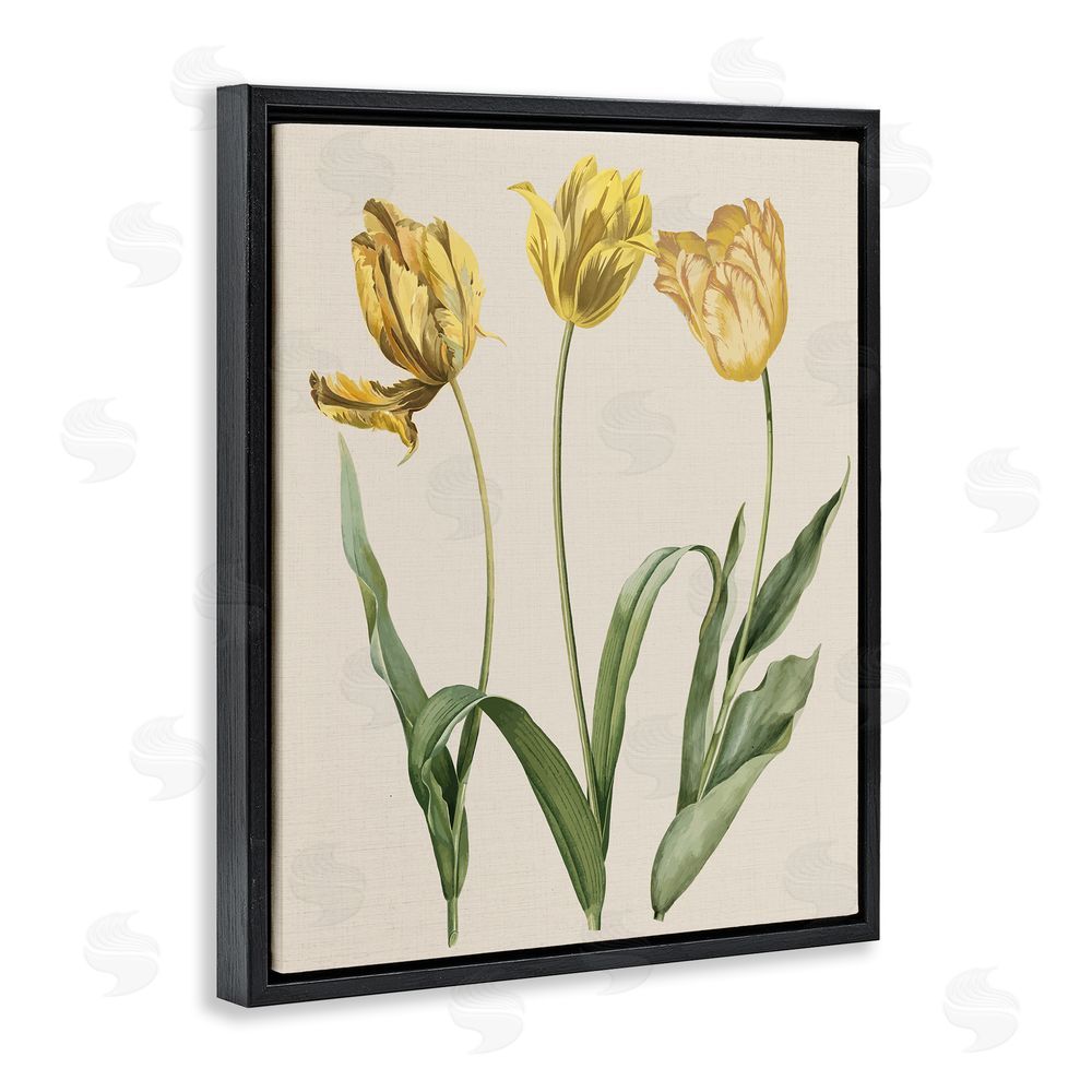 Stupell Studio Three Tulip Sprigs Black Floating Frame Canvas Wall Art Print