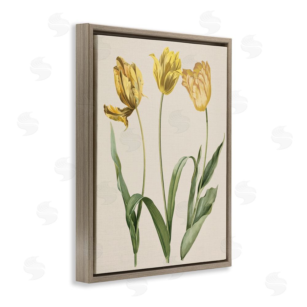 Stupell Studio Three Tulip Sprigs Brown Floating Frame Canvas Wall Art Print