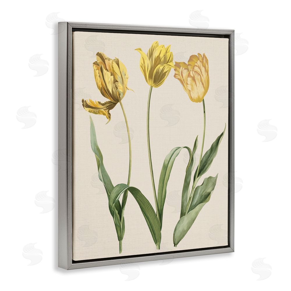 Stupell Studio Three Tulip Sprigs Grey Floating Frame Canvas Wall Art Print