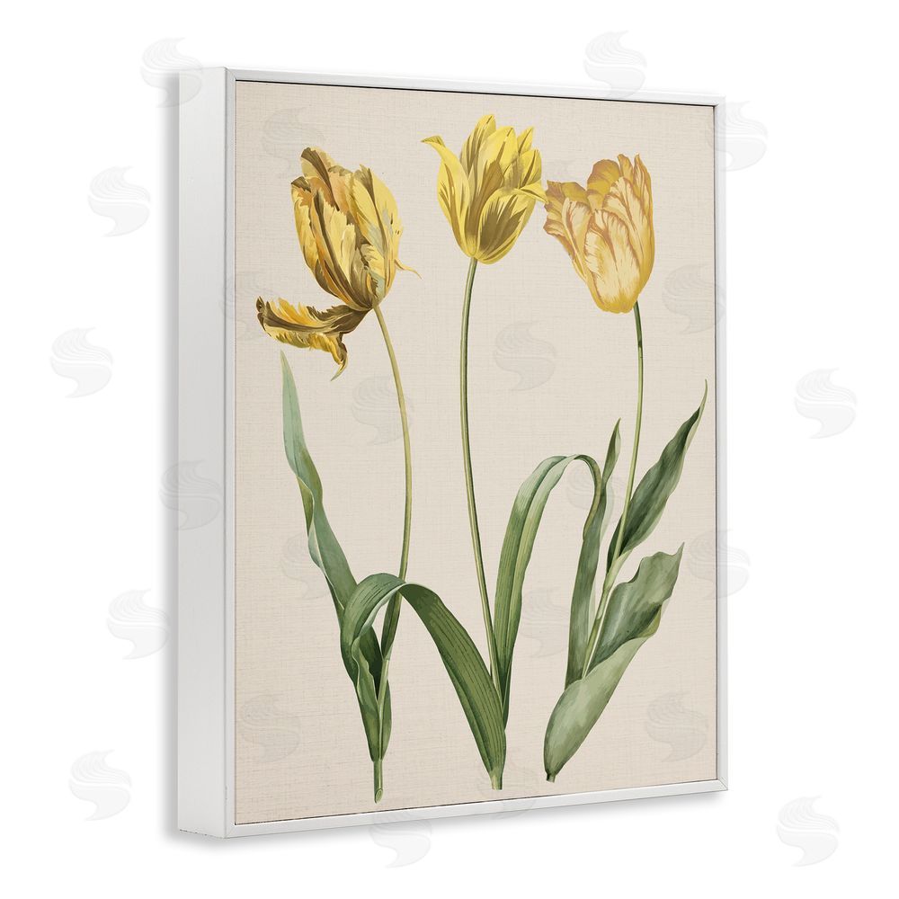Stupell Studio Three Tulip Sprigs White Framed Giclee Wall Art Print