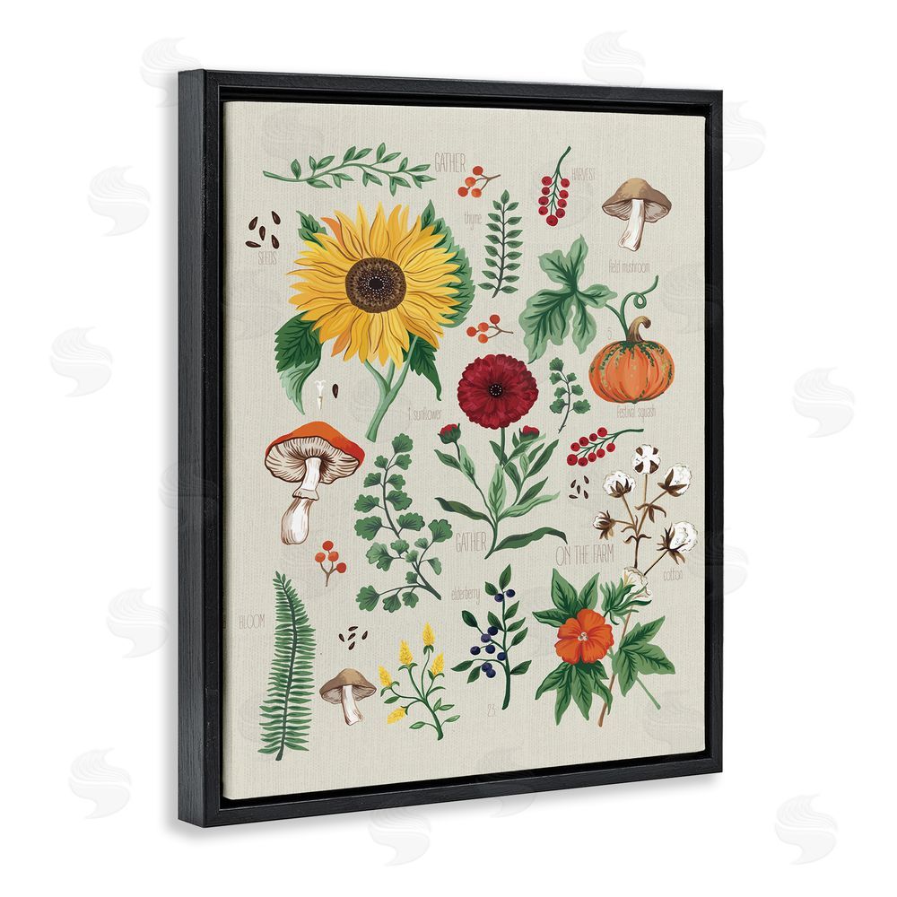Sharon Lee Botanical & Seeds Study Black Floating Frame Canvas Wall Art Print