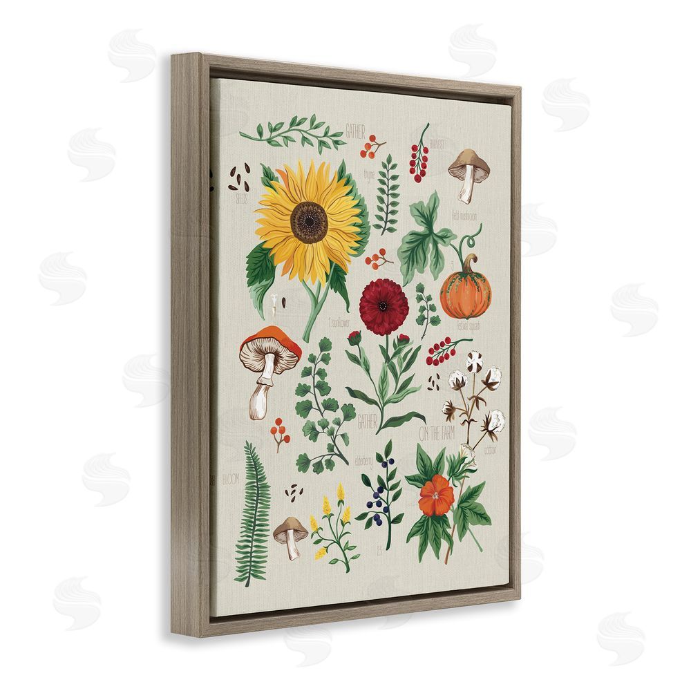Sharon Lee Botanical & Seeds Study Brown Floating Frame Canvas Wall Art Print