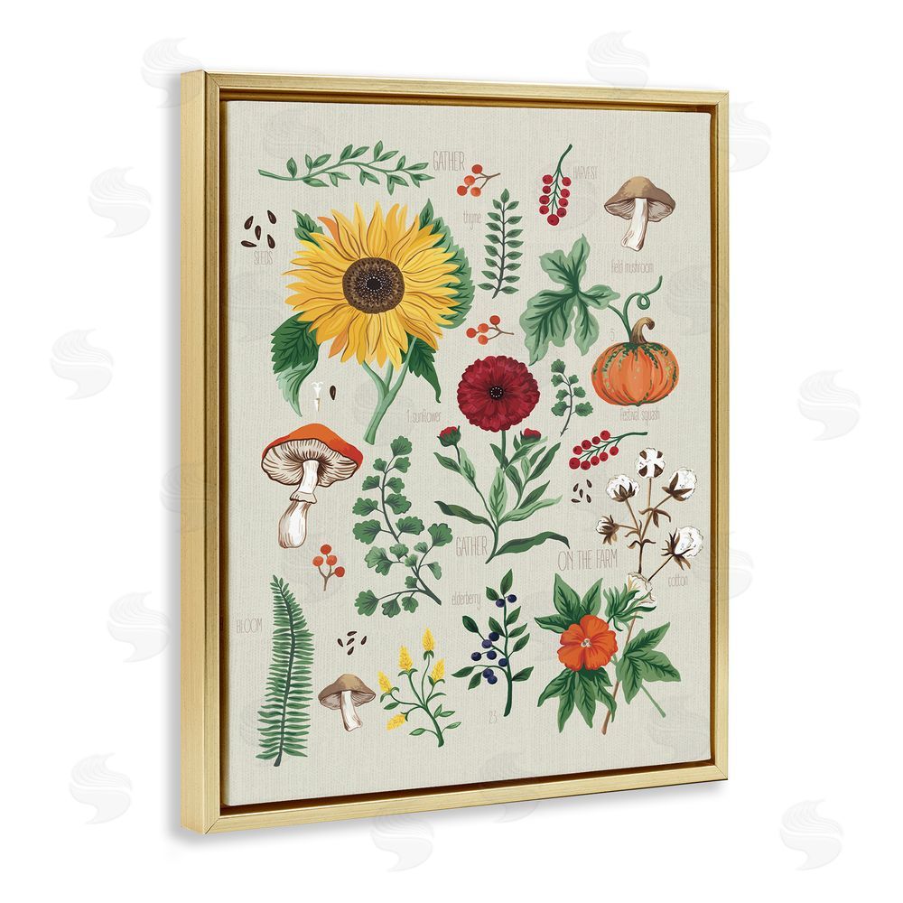 Sharon Lee Botanical & Seeds Study Gold Floating Frame Canvas Wall Art Print