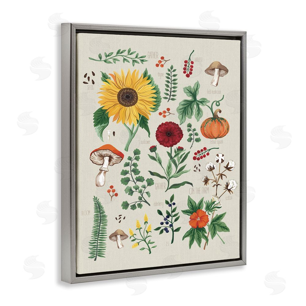 Sharon Lee Botanical & Seeds Study Grey Floating Frame Canvas Wall Art Print