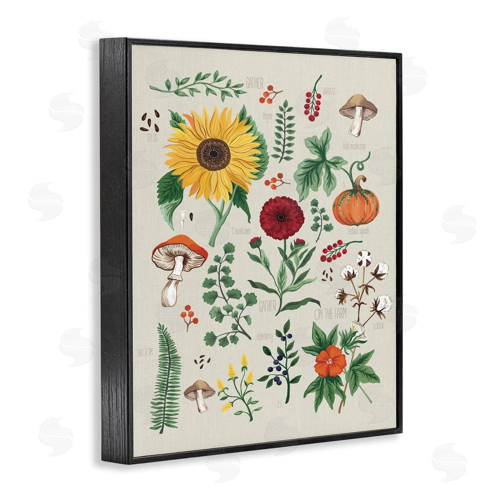 Sharon Lee Botanical & Seeds Study Black Framed Giclee Wall Art Print