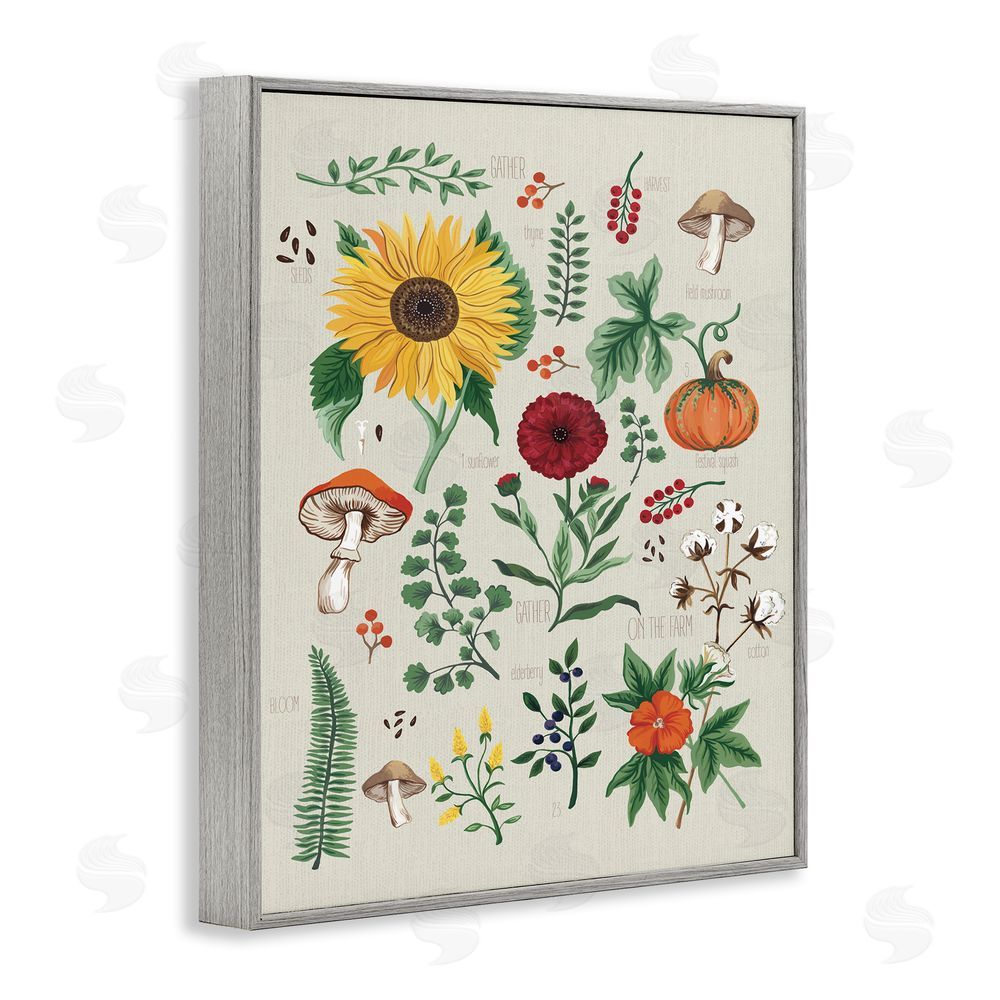 Sharon Lee Botanical & Seeds Study Gray Framed Giclee Wall Art Print