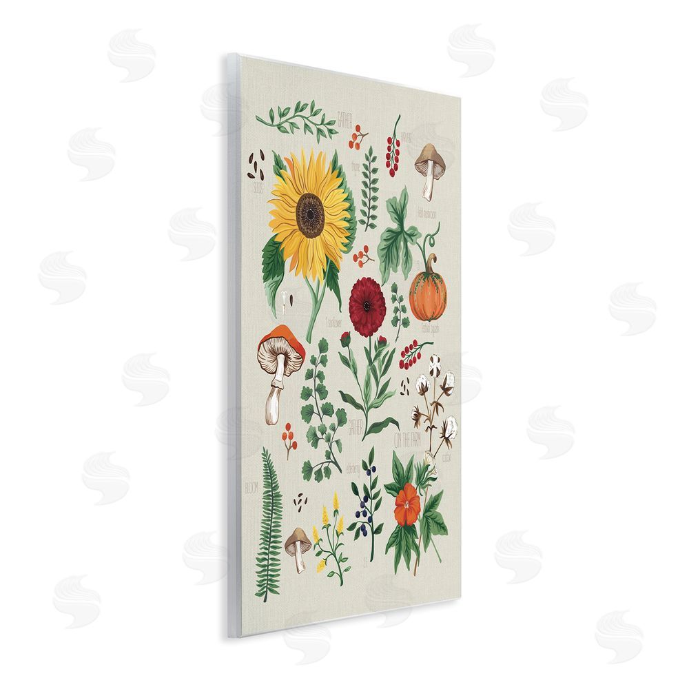 Sharon Lee Botanical & Seeds Study Wall Plaque Art Print