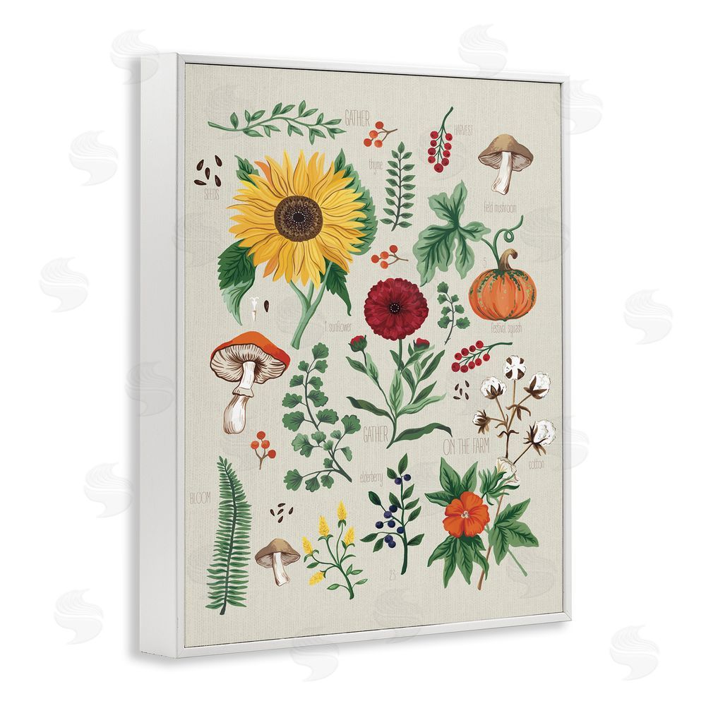Sharon Lee Botanical & Seeds Study White Framed Giclee Wall Art Print
