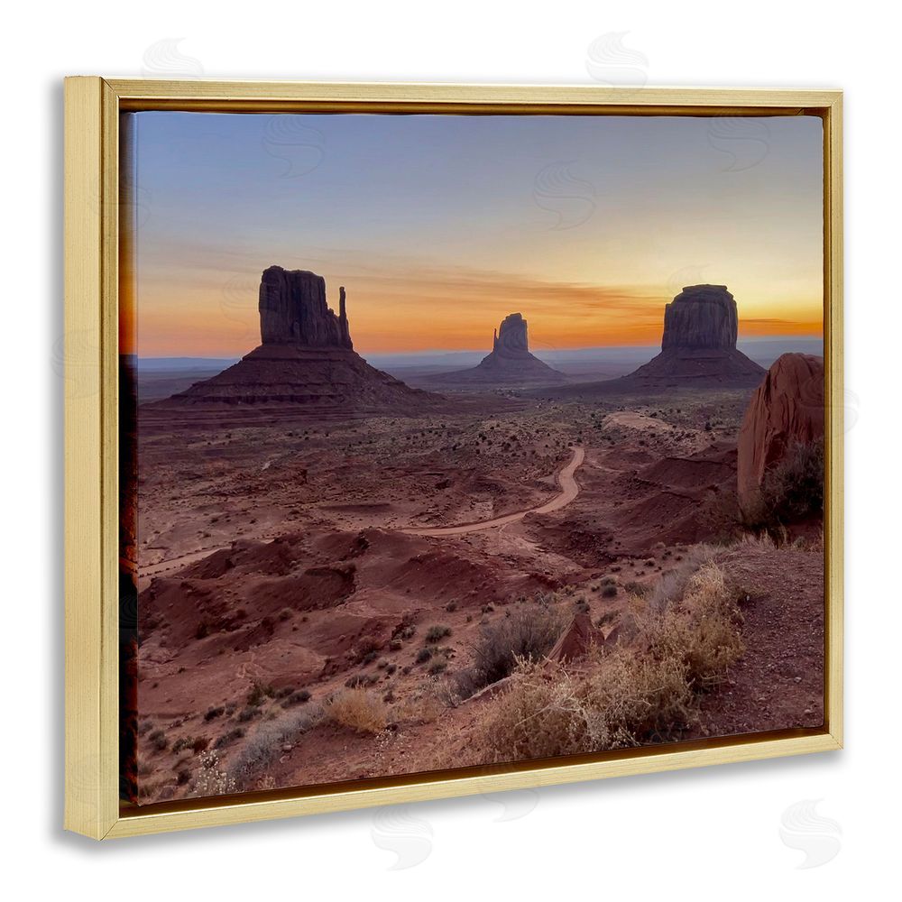 Steve Toole Canyon Buttes Landscape Gold Floating Frame Canvas Wall Art Print