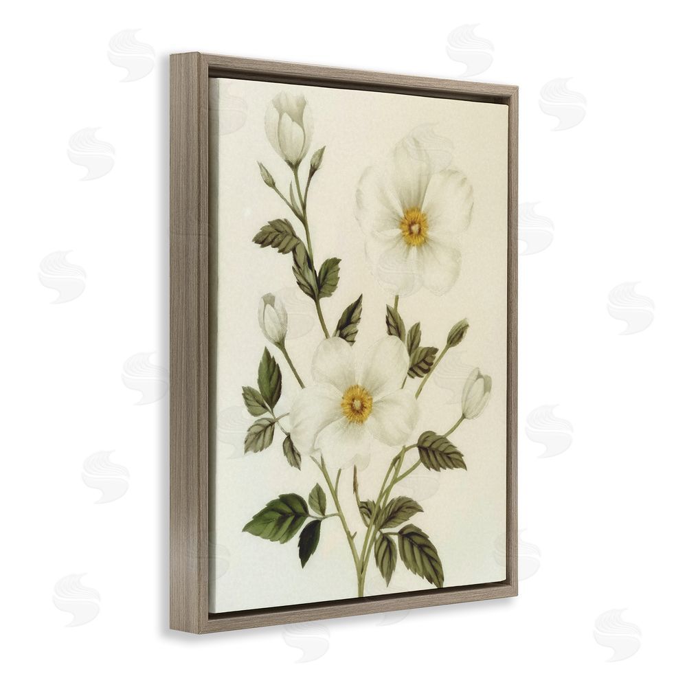 Ziwei Li Vintage Apple Blossoms Brown Floating Frame Canvas Wall Art Print