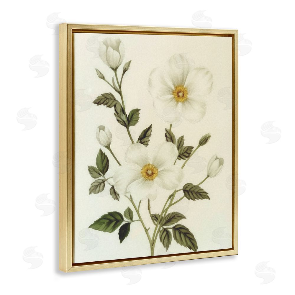 Ziwei Li Vintage Apple Blossoms Gold Floating Frame Canvas Wall Art Print