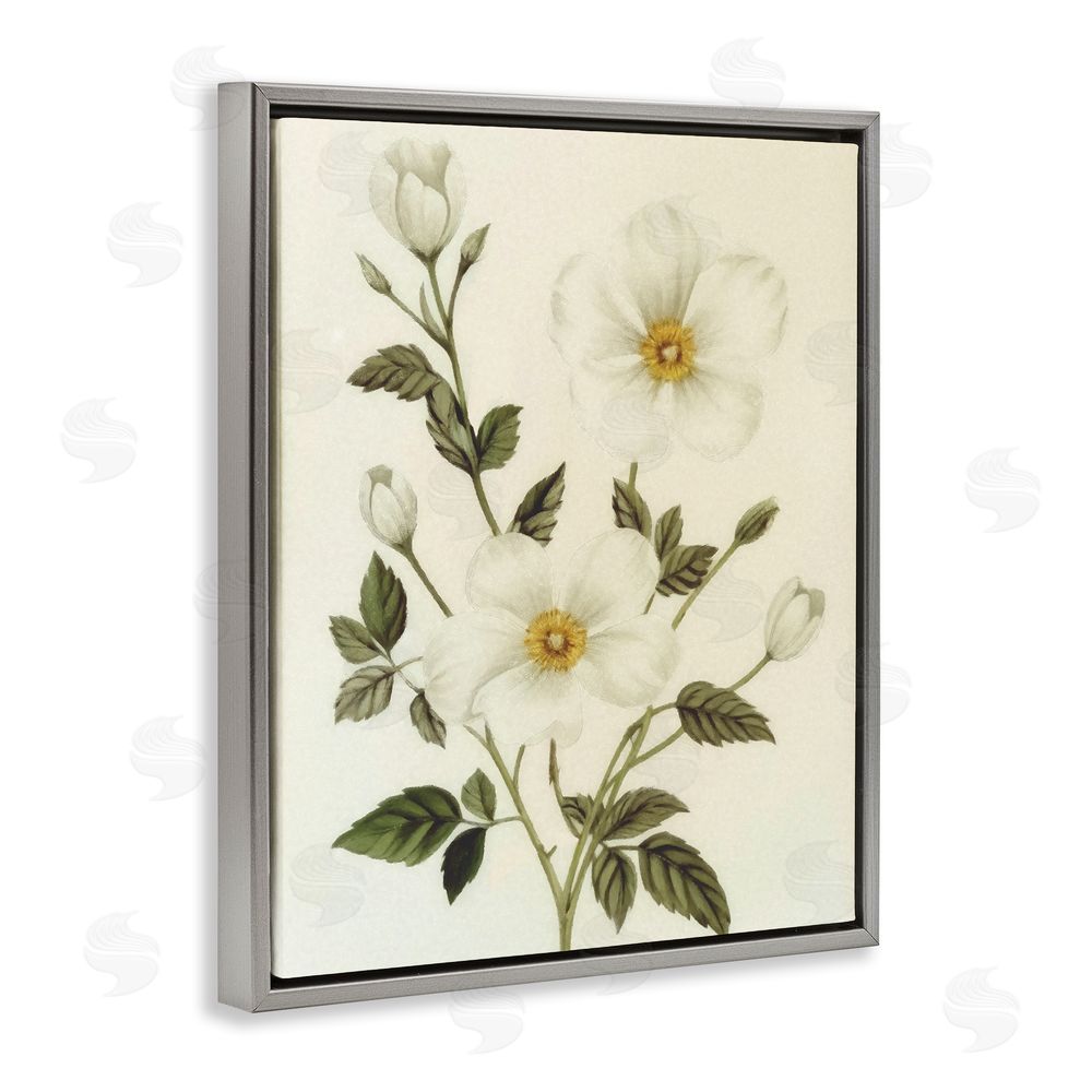 Ziwei Li Vintage Apple Blossoms Grey Floating Frame Canvas Wall Art Print