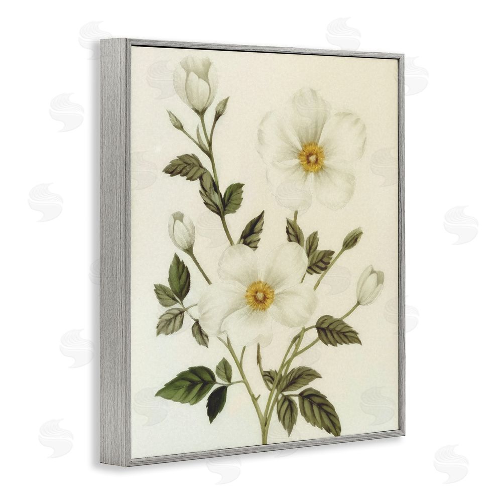 Ziwei Li Vintage Apple Blossoms Gray Framed Giclee Wall Art Print