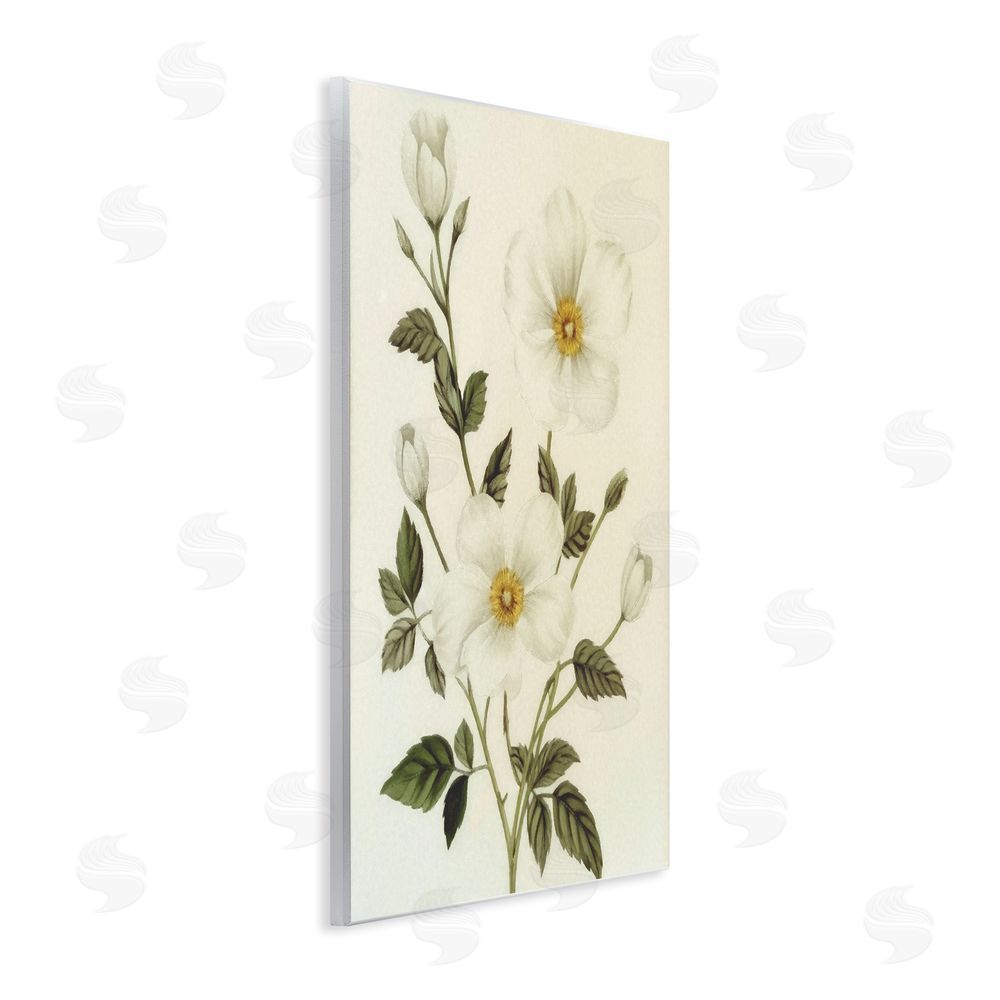 Ziwei Li Vintage Apple Blossoms Wall Plaque Art Print