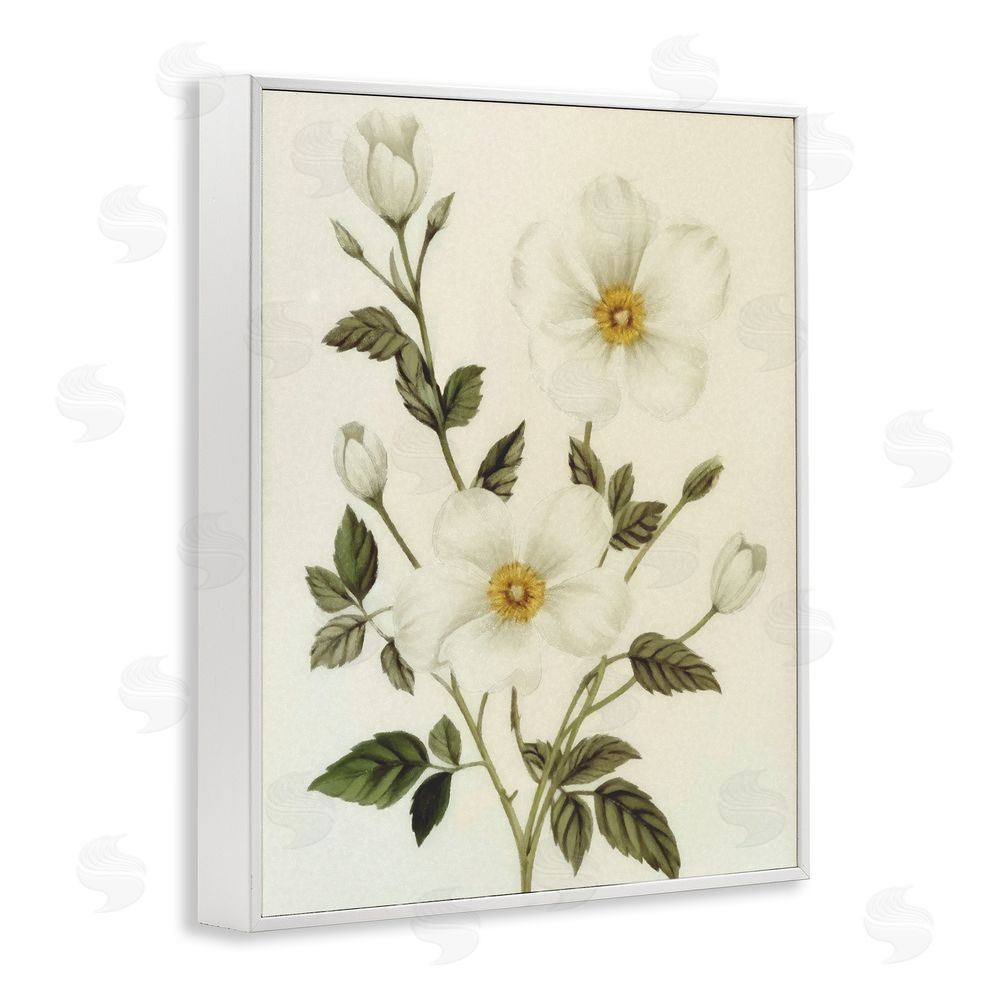 Ziwei Li Vintage Apple Blossoms White Framed Giclee Wall Art Print