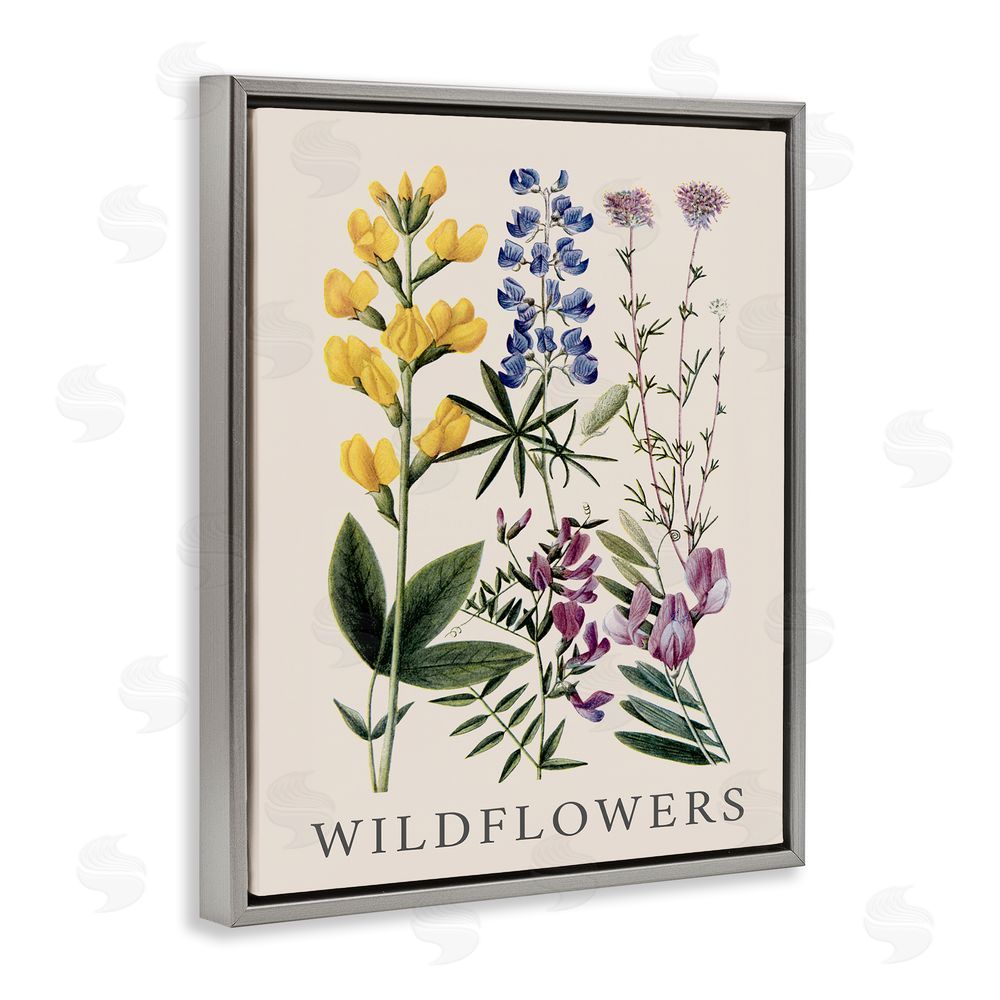 Piddix Wildflower Species Study Grey Floating Frame Canvas Wall Art Print