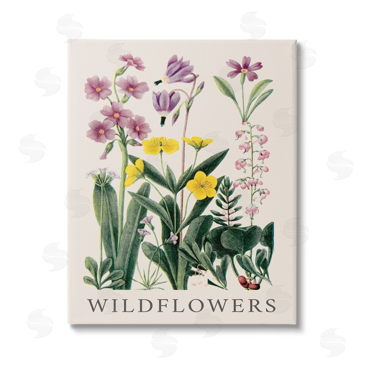 Piddix Various Wildflowers Study Stretched Canvas Wall Art Print
