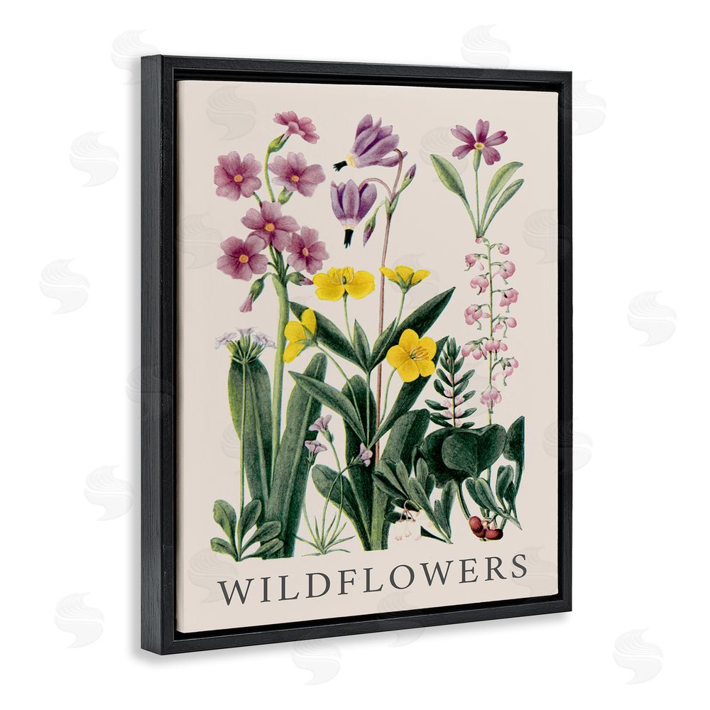 Piddix Various Wildflowers Study Black Floating Frame Canvas Wall Art Print