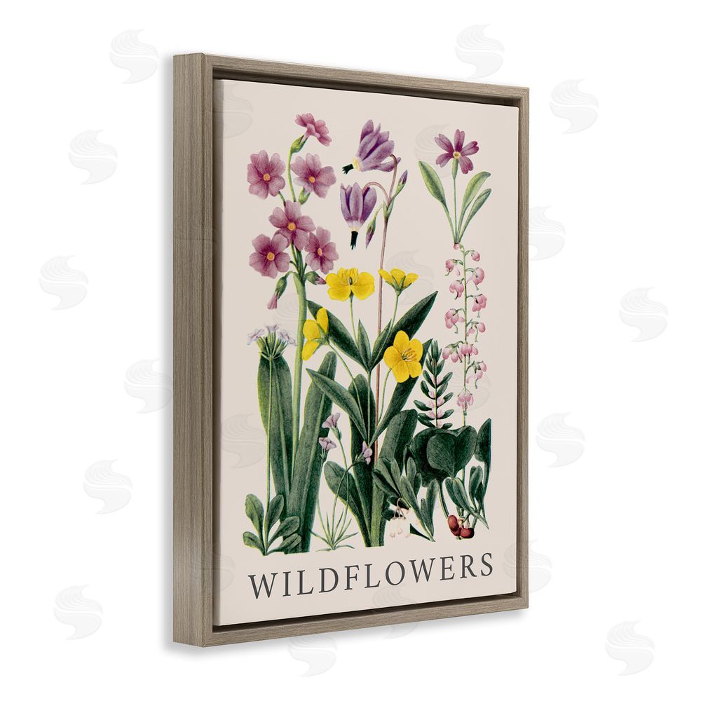 Piddix Various Wildflowers Study Brown Floating Frame Canvas Wall Art Print