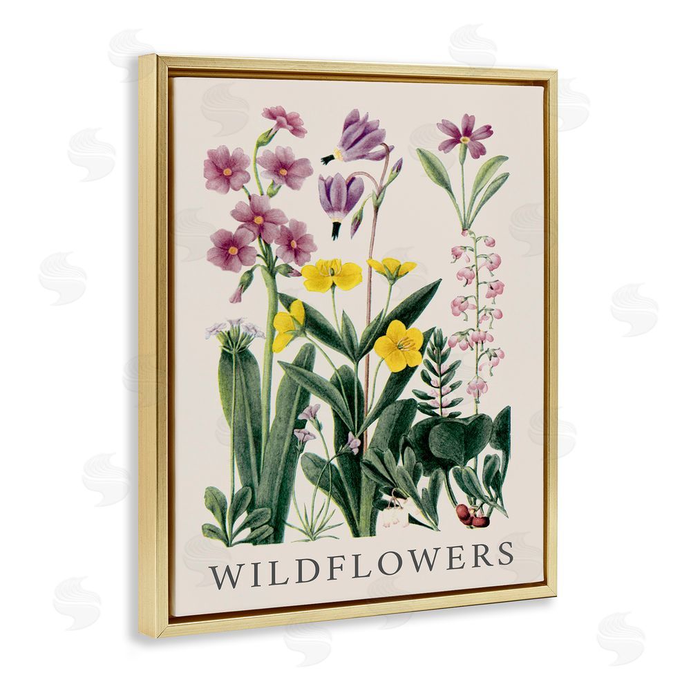 Piddix Various Wildflowers Study Gold Floating Frame Canvas Wall Art Print