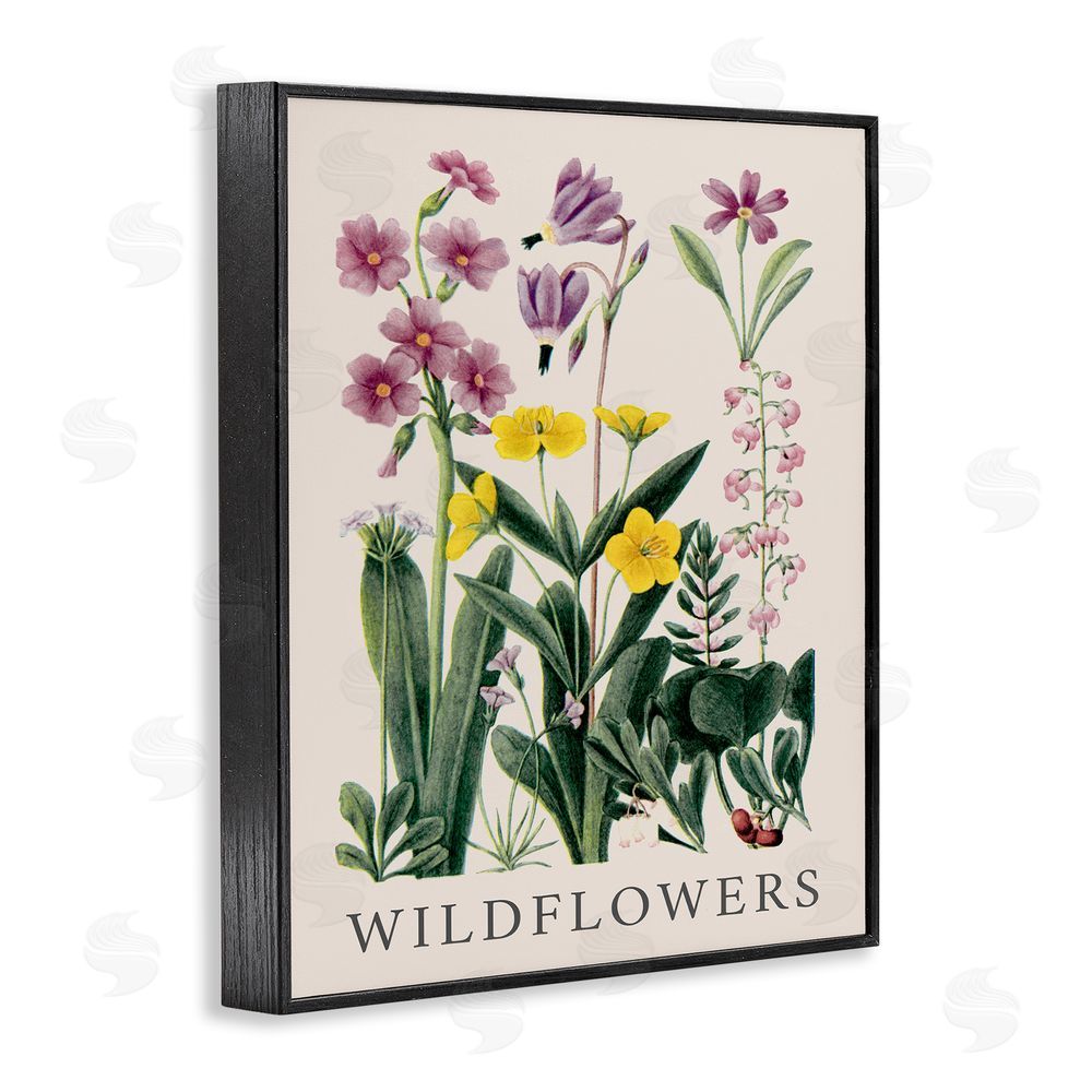 Piddix Various Wildflowers Study Black Framed Giclee Wall Art Print