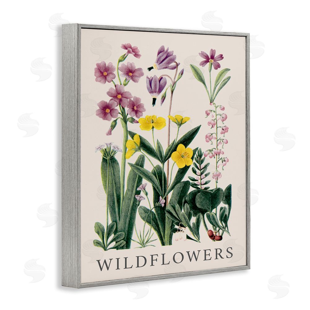 Piddix Various Wildflowers Study Gray Framed Giclee Wall Art Print