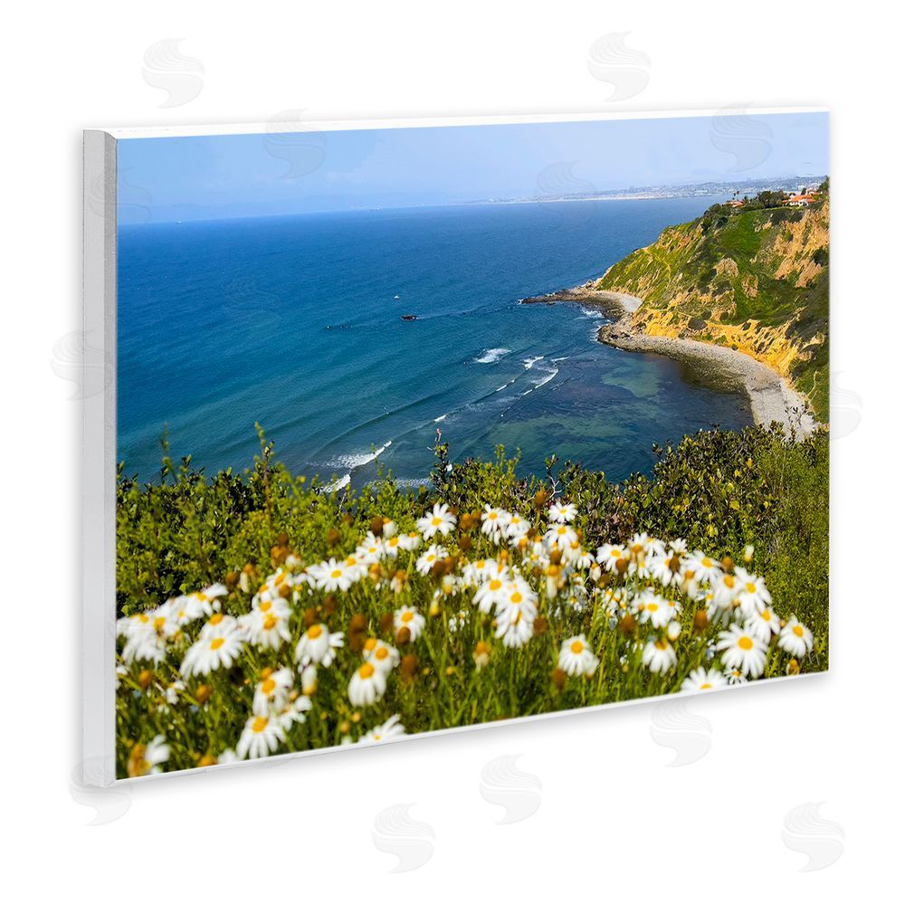Kathy Mansfield Meadow over Ocean Tide Wall Plaque Art Print