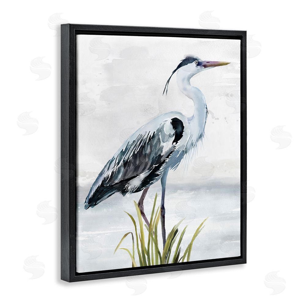 Carson Lyons Shore Bird Portrait Black Floating Frame Canvas Wall Art Print