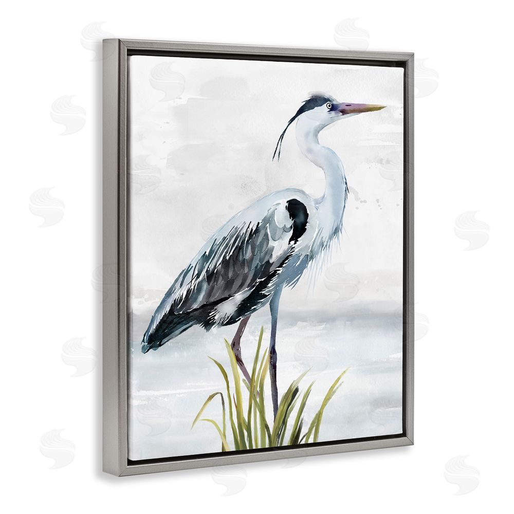Carson Lyons Shore Bird Portrait Grey Floating Frame Canvas Wall Art Print