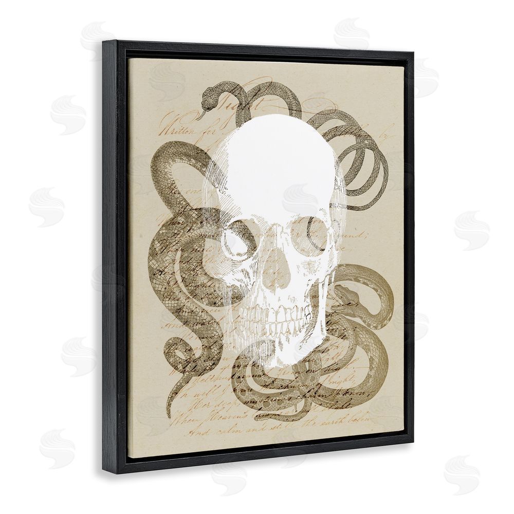 Stupell Studio Skull & Snake Vintage Script Black Floating Frame Canvas Wall Art Print