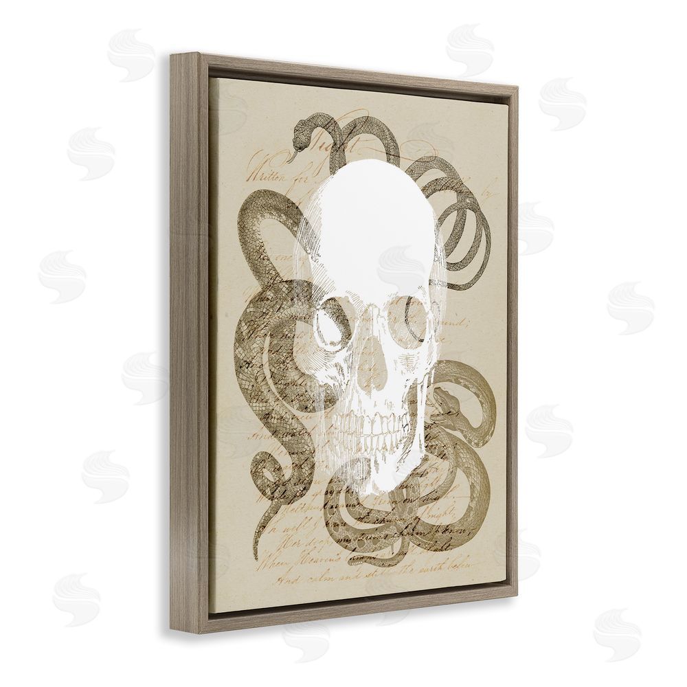 Stupell Studio Skull & Snake Vintage Script Brown Floating Frame Canvas Wall Art Print