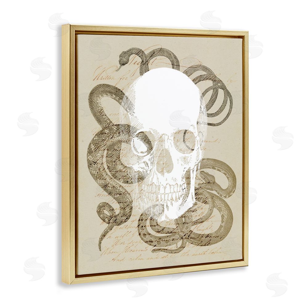 Stupell Studio Skull & Snake Vintage Script Gold Floating Frame Canvas Wall Art Print