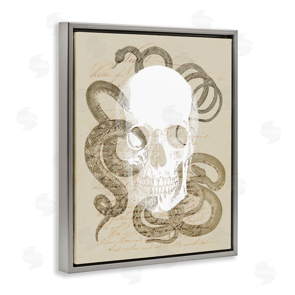 Stupell Studio Skull & Snake Vintage Script Grey Floating Frame Canvas Wall Art Print