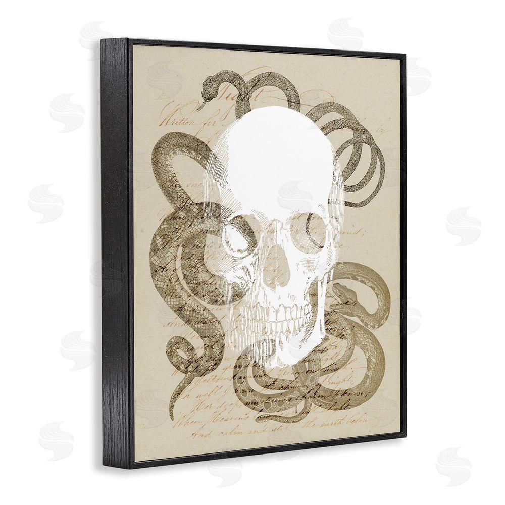 Stupell Studio Skull & Snake Vintage Script Black Framed Giclee Wall Art Print