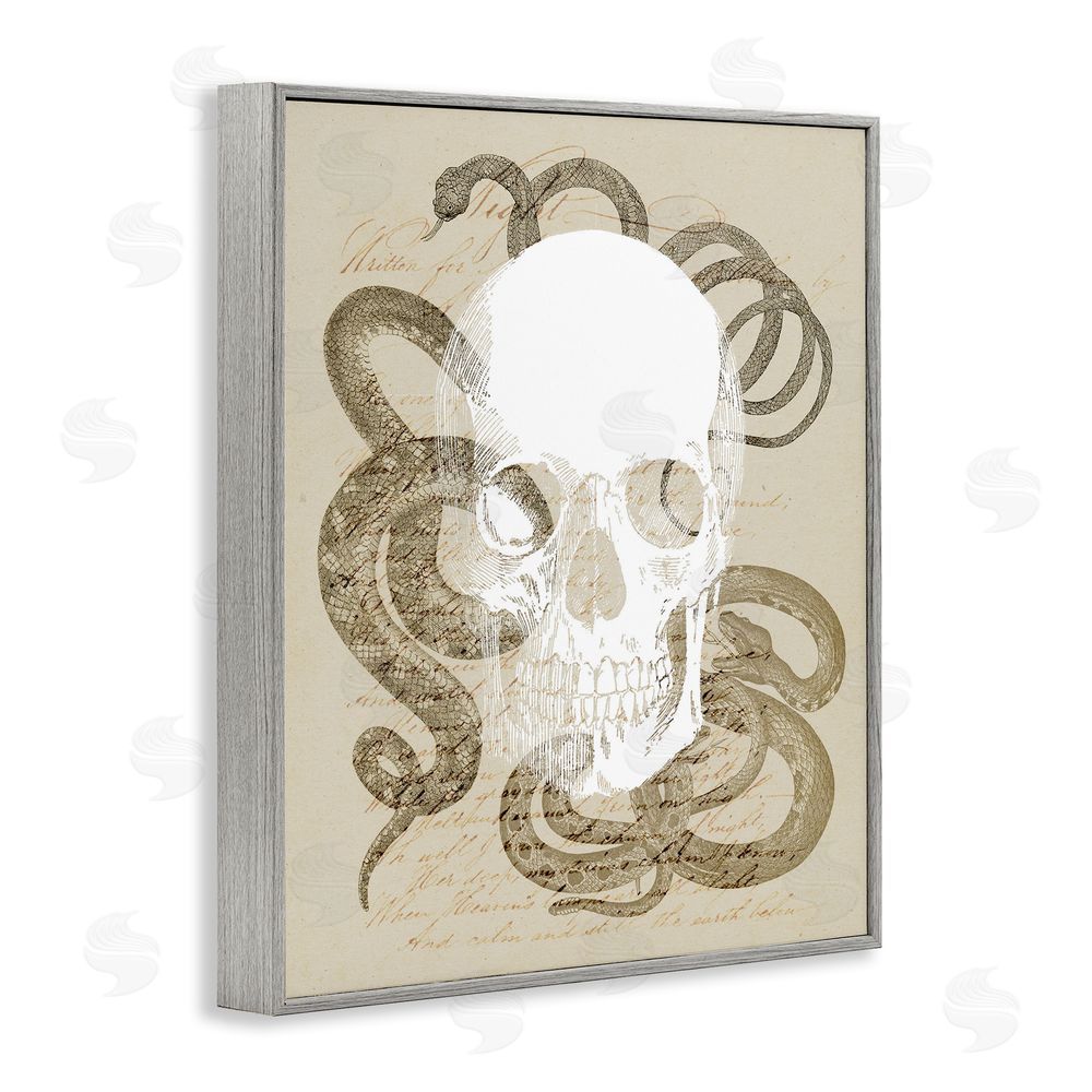 Stupell Studio Skull & Snake Vintage Script Gray Framed Giclee Wall Art Print