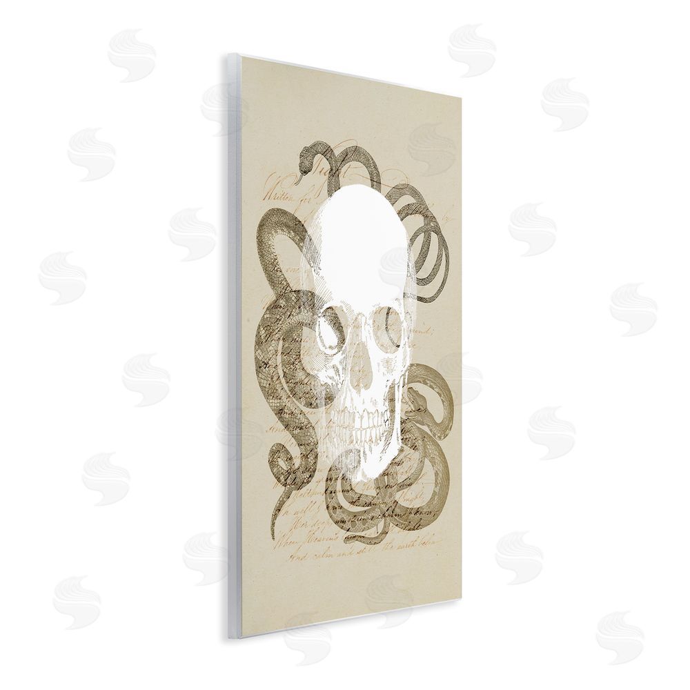 Stupell Studio Skull & Snake Vintage Script Wall Plaque Art Print