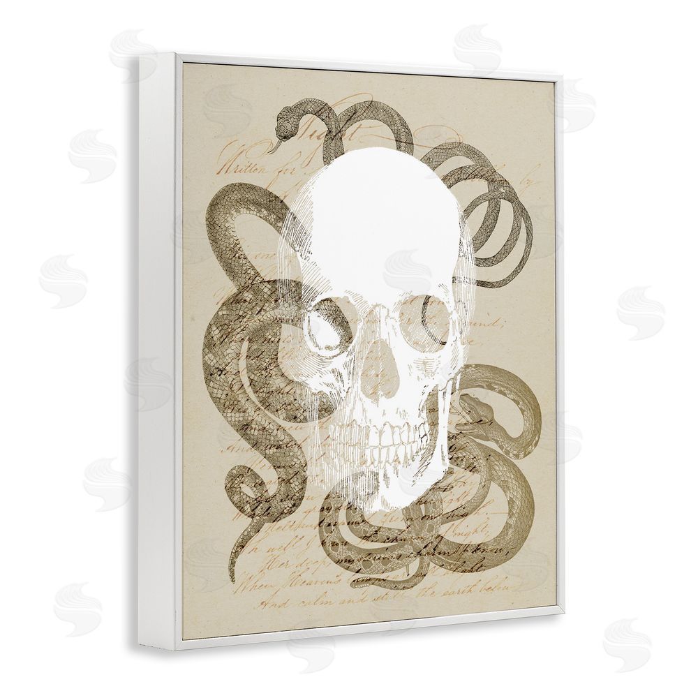 Stupell Studio Skull & Snake Vintage Script White Framed Giclee Wall Art Print