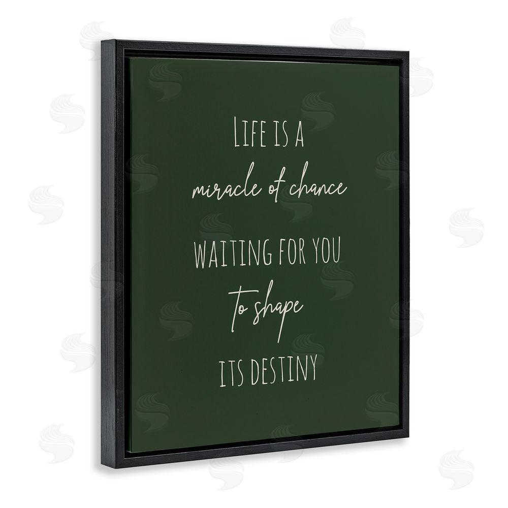 Birch & Ink Shape Life's Destiny Phrase Black Floating Frame Canvas Wall Art Print