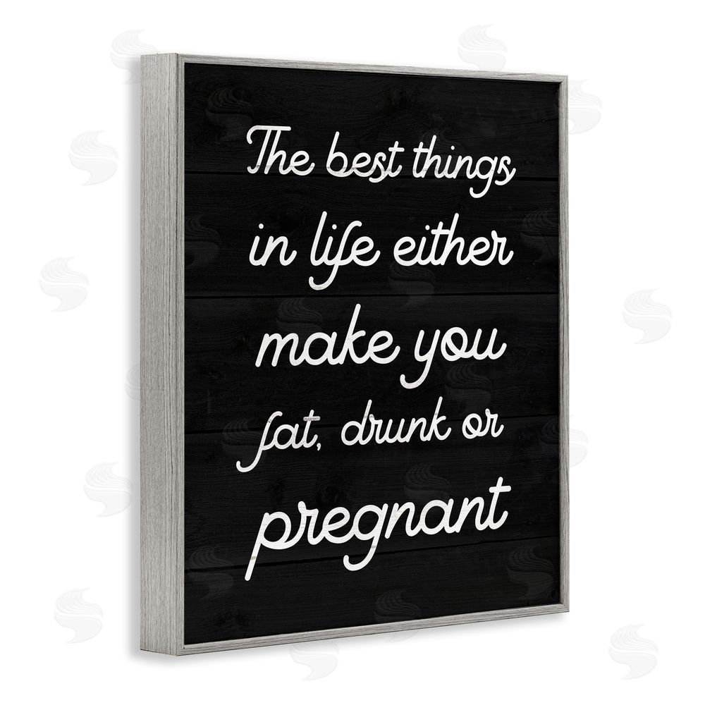 Stupell Studio Funny Best Things In Life Gray Framed Giclee Wall Art Print