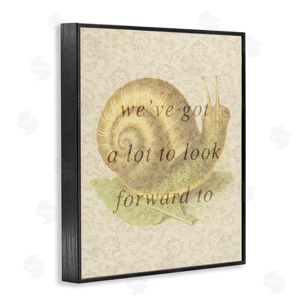 Stupell Studio Vintage Uplifting Snail Black Framed Giclee Wall Art Print