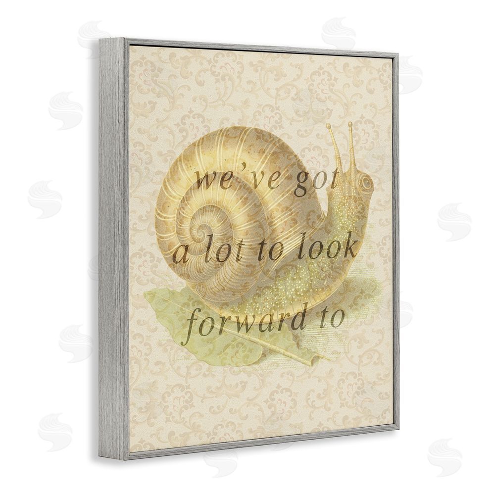 Stupell Studio Vintage Uplifting Snail Gray Framed Giclee Wall Art Print