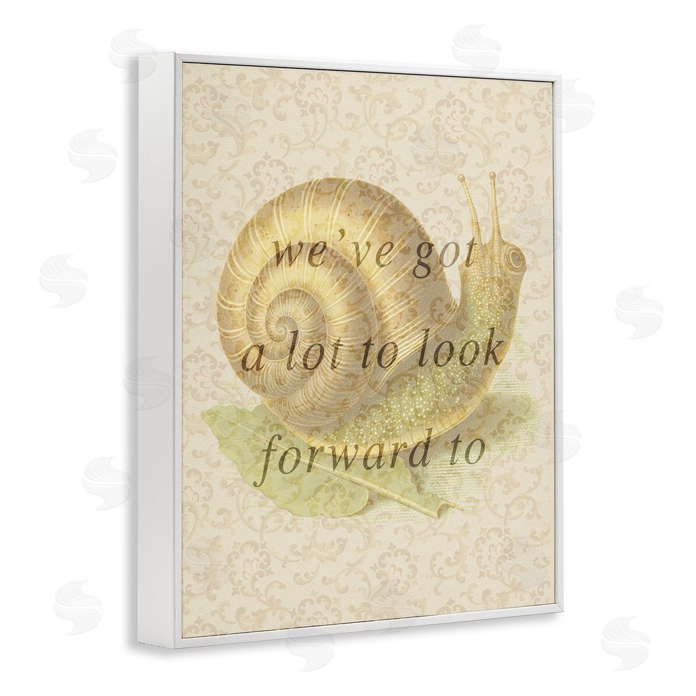 Stupell Studio Vintage Uplifting Snail White Framed Giclee Wall Art Print