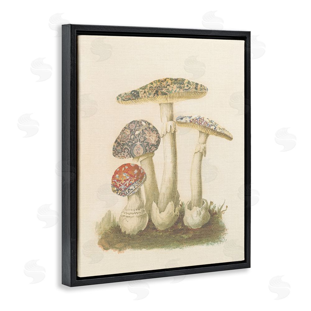 Stupell Studio Vintage Patterned Mushrooms Black Floating Frame Canvas Wall Art Print