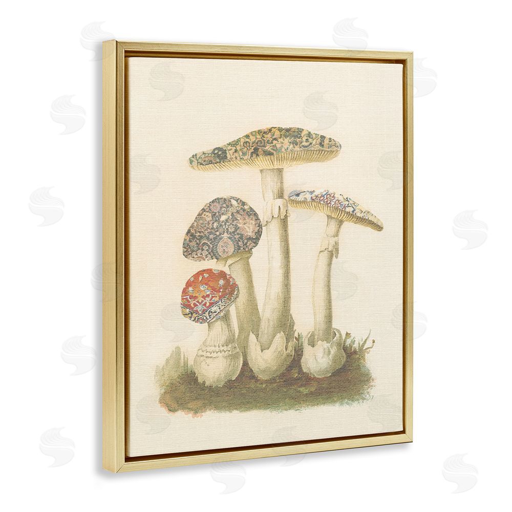Stupell Studio Vintage Patterned Mushrooms Gold Floating Frame Canvas Wall Art Print