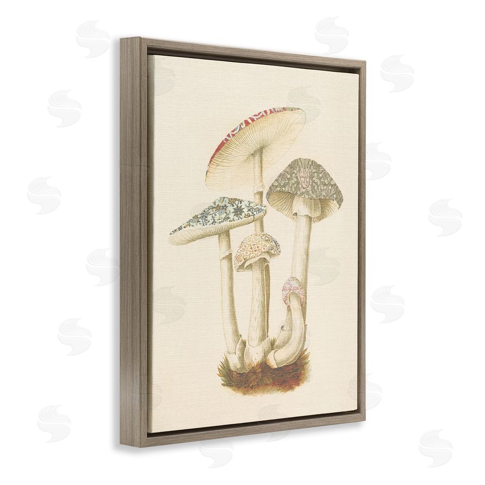 Stupell Studio Vintage Mushroom Study Brown Floating Frame Canvas Wall Art Print