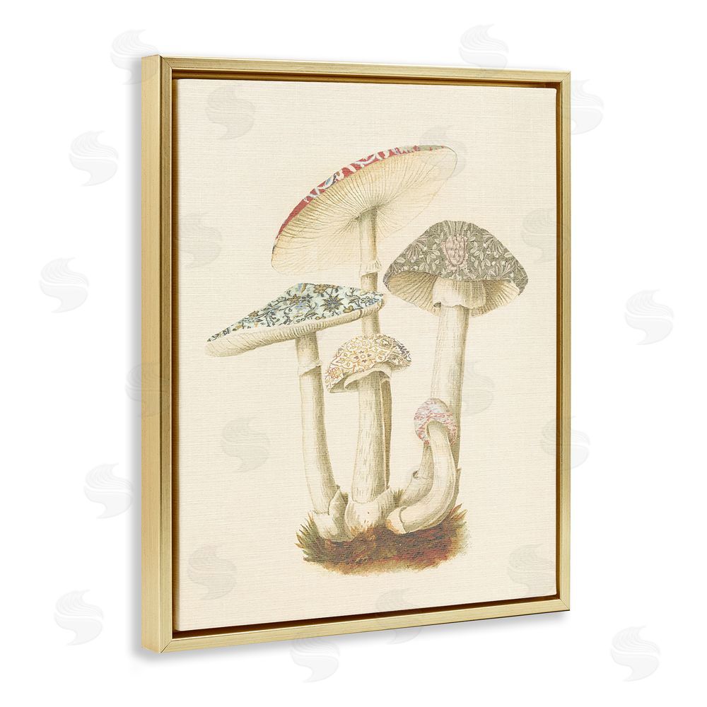 Stupell Studio Vintage Mushroom Study Gold Floating Frame Canvas Wall Art Print