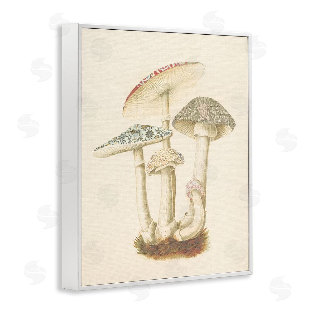 Stupell Studio Vintage Mushroom Study White Framed Giclee Wall Art Print